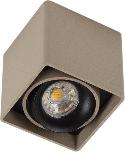 KS Verlichting Opbouwspot richtbaar Bjorn 1 champagne